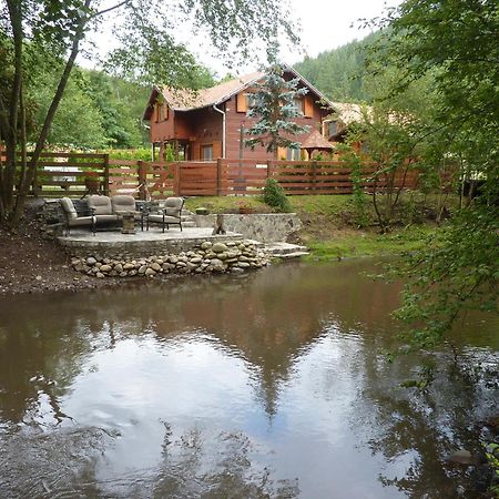 Villa Nagy Lak à Sub Cetate Extérieur photo